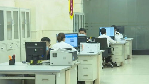 洋浦首票保稅燃料油直供國際航行船舶業務成功落地，開啟燃料補給新篇章